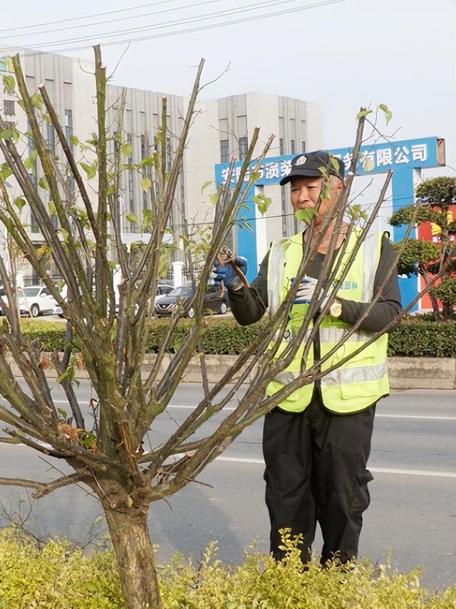 李白文化旅游节氛围组已“上线”