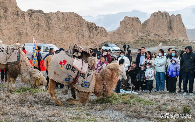 初冬，古城迎来西行客