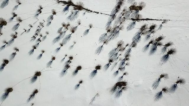 冬季进藏三日勿洗澡，记住这几点，高原反应不再怕