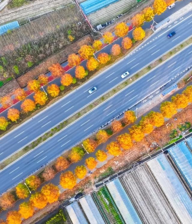 冬日金东：斑斓未尽 山水半酣