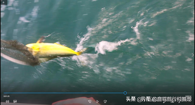 烟台炸裂攻略！2025本地人私藏的十大景点+五大美食，错过亏哭