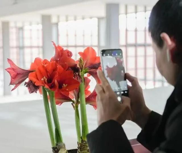 中国园林博物馆十二月活动清单