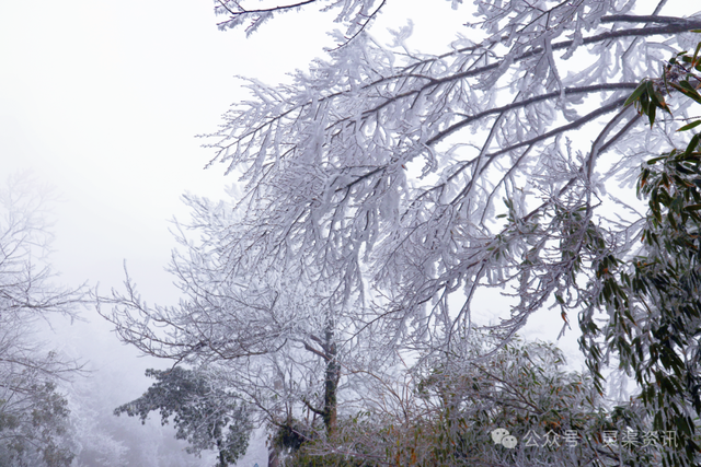 兴安限定版“冰雪奇缘”惊艳上线→
