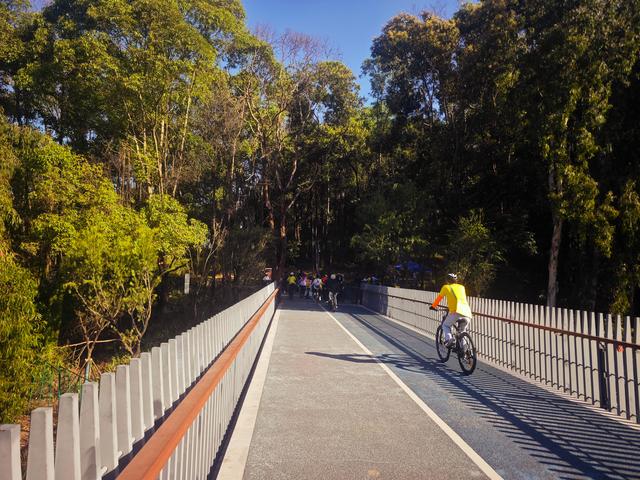 龙华新“骑”点，奔向2026骑行随拍1129