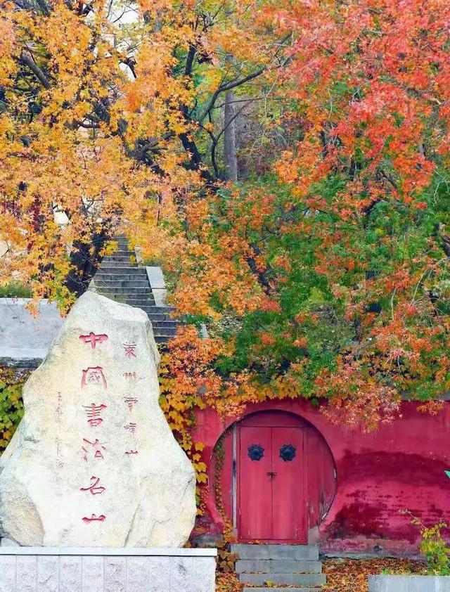 你好啊，烟台的秋天！