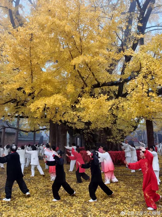 连发两篇!赵立坚推介日照这一美景:每一帧都是壁纸!