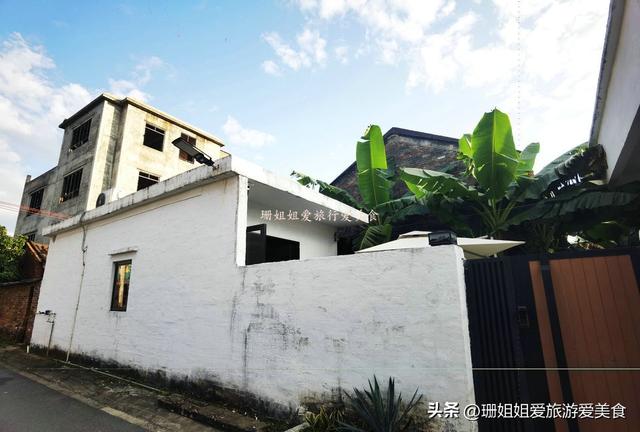 佛山高明小众宝藏渔村！初冬正确打开方式：吹西江风、吃现捞河鲜