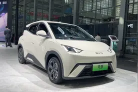 预算6万，星愿、海鸥、五菱缤果怎么选？车主口碑真烂？图片