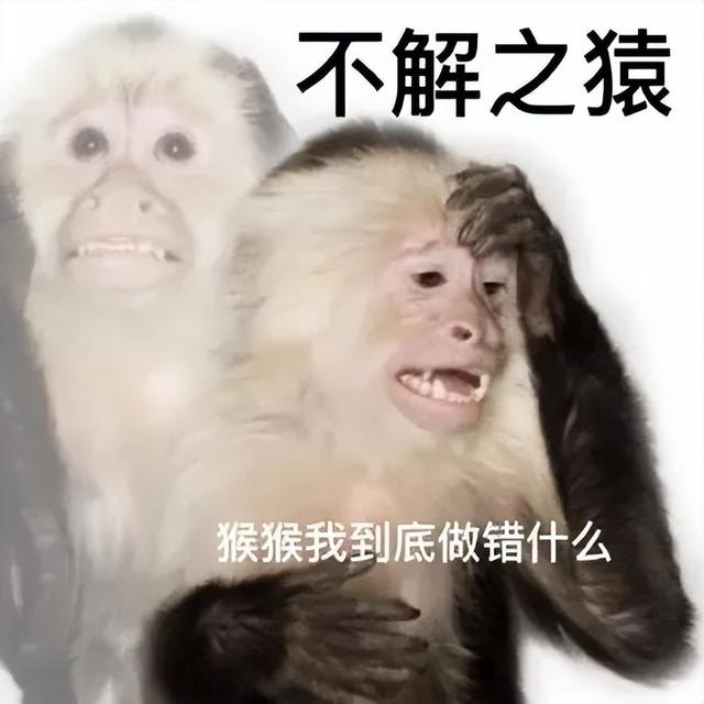 特斯拉廉价版贵到离谱