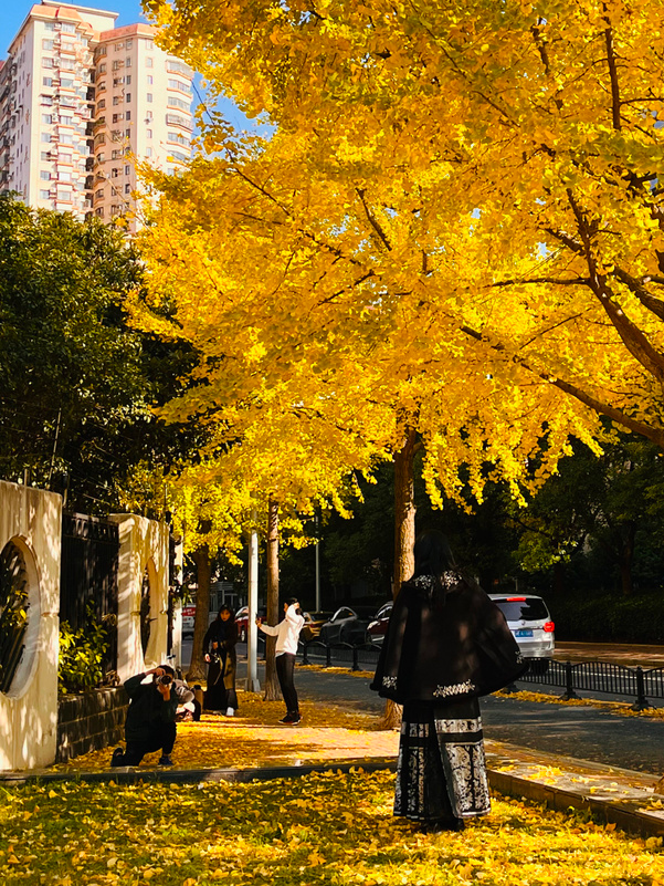 探徐汇｜全线“地铁”自助！5天游上海，徐汇玩“出圈”