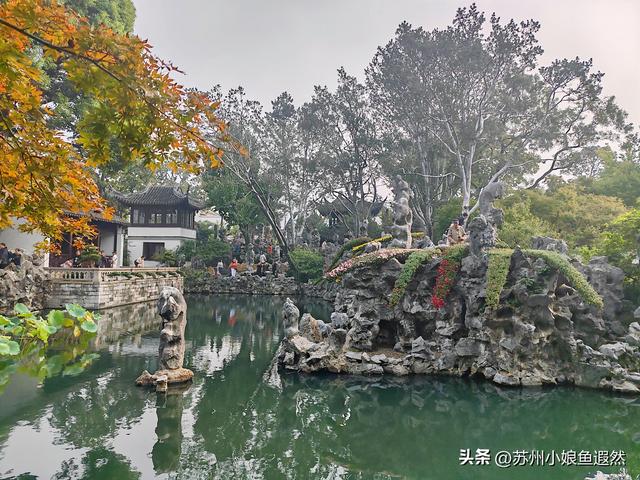 2025苏州狮子林菊展：赴一场比《甄嬛传》存菊堂更盛的秋日菊宴