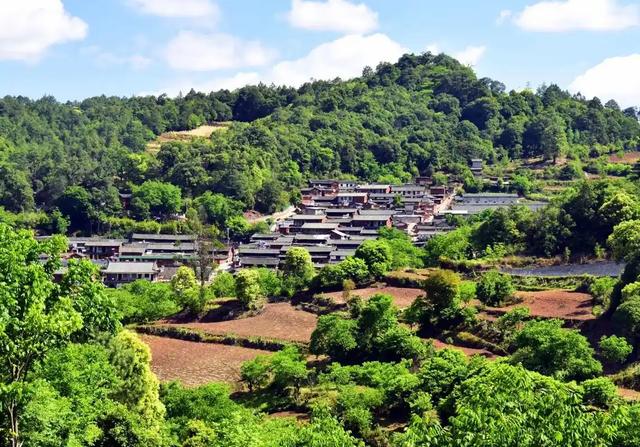 解放军在云南原始森林，发现一群男女	，他们住草棚靠野果捕猎为生