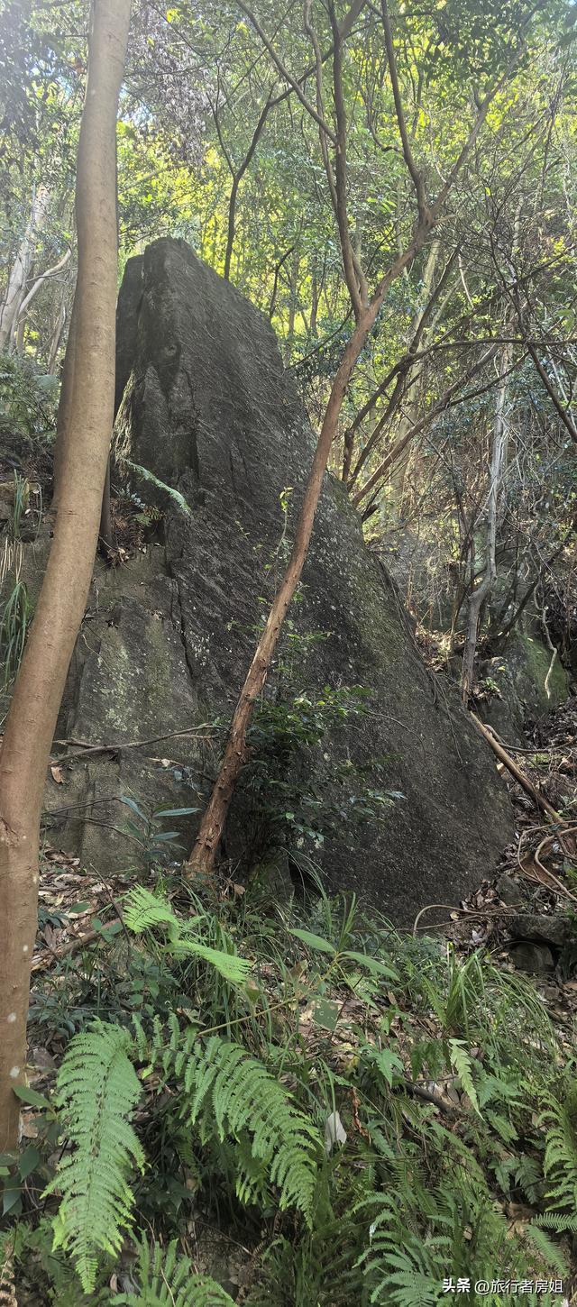 宁海雁苍山佛手台