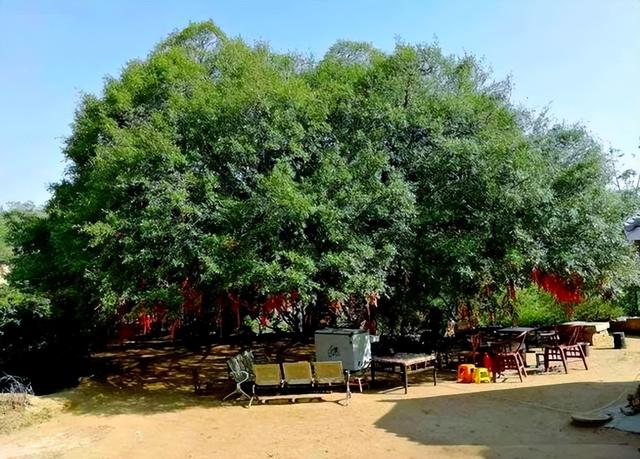 “夏”一站，禹州见 | 十条精品旅游线路带你玩转禹州