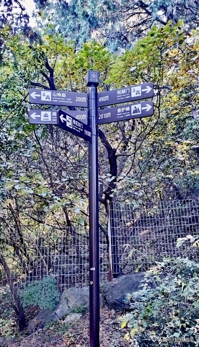 以我4次经历，带你打卡北京香山，北京的朋友请补充