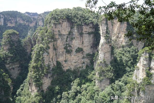 袁家界：地球的‘盗梦空间’！与2亿年的石英砂岩对视，这悬浮山