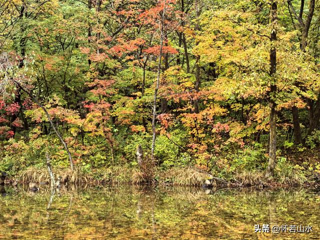 2025辽宁赏秋之旅日记(2)——游览丹东蒲石河森林公园