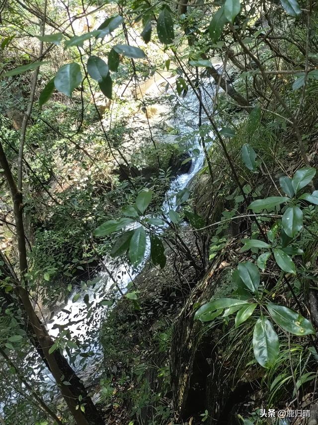 深圳马峦山看瀑布攻略(夏天避暑必去榜)