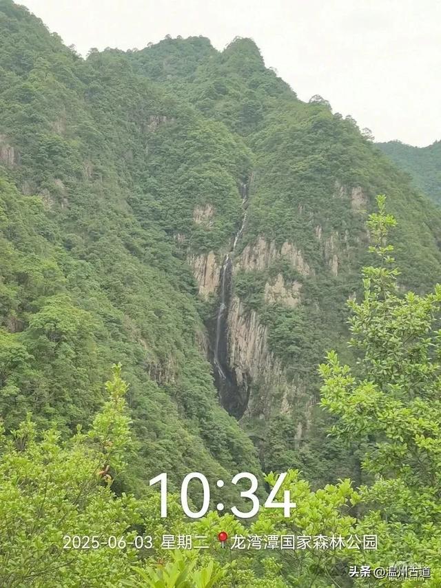 温州这个亲子游玩胜地、植物自然课堂孩子玩嗨家长不累