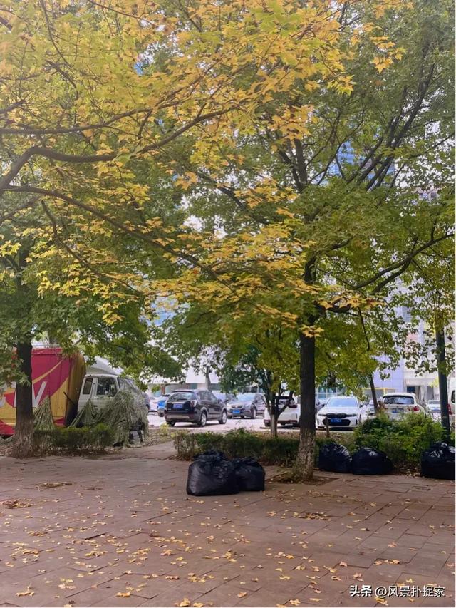 南昌的晚秋,风景美如画