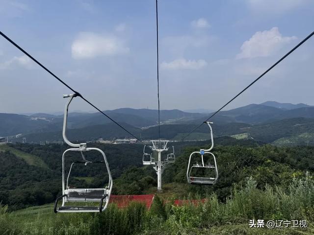 沈阳周边隐藏的“小阿勒泰”！市内出发一小时直达的云端秘境，还有高山草甸+萌宠乐园
