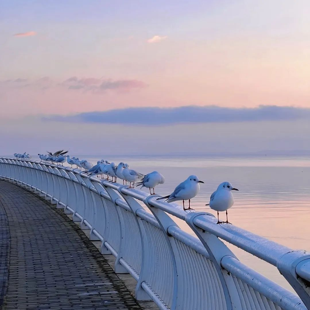 昆明冬日顶流回归！约起！