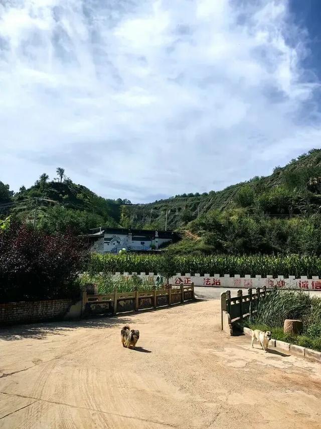 山西吕梁·石楼县车家坡村