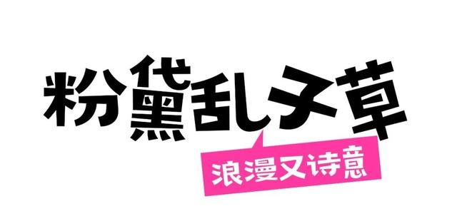 田曦薇、胡一天打卡西海岸！约你来玩！
