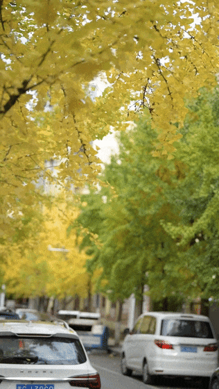 余庆的初冬，就藏在这些地方！