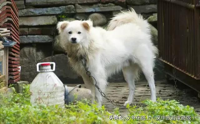 初冬游汉中岳坝，在自然里疗愈身心！