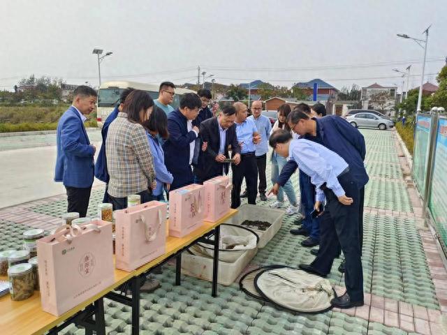 考察调研、就业实习基地挂牌仪式隆重举行