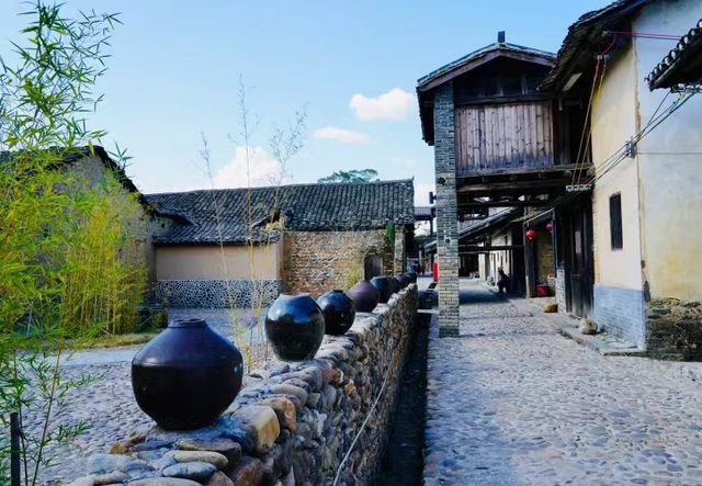 收好始兴这条线路，一天玩转艺术、古村与落羽杉，追一场岭南最绚烂的秋！