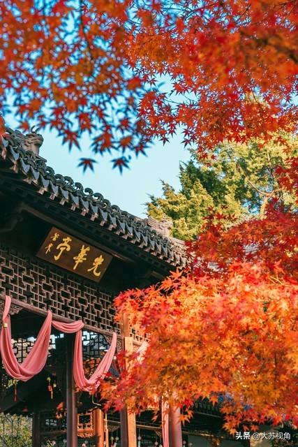 南京的浓颜是枫叶林给的！18个机位+时间点，避开人潮拍出大片