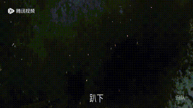 电视剧《归队》有多好看