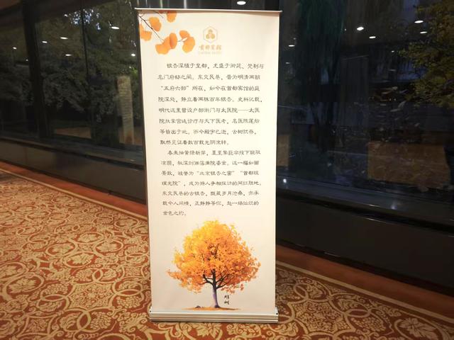 北京二环内的百年银杏树，号称最美银杏之窗，有人从台湾专程来看