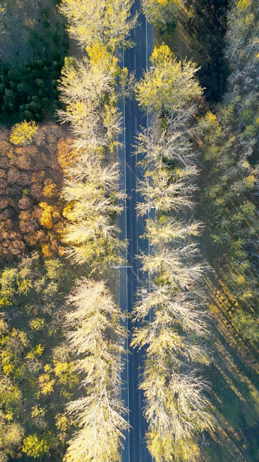 出发！开车窗，听风声，顺义公路寻秋——