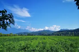 民国十八年年馑眉县惨状记录图片