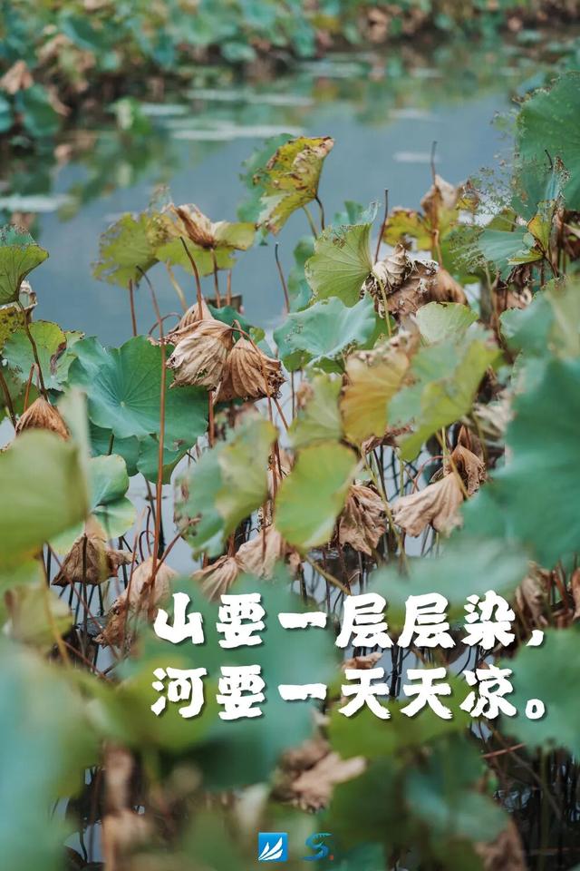起猛了！萧山怎么变样了？！