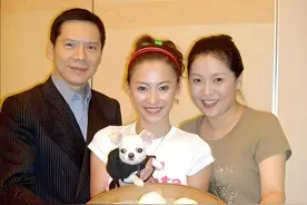 向氏家族的影视帝国（4）签下张柏芝，迎娶郭碧婷图片