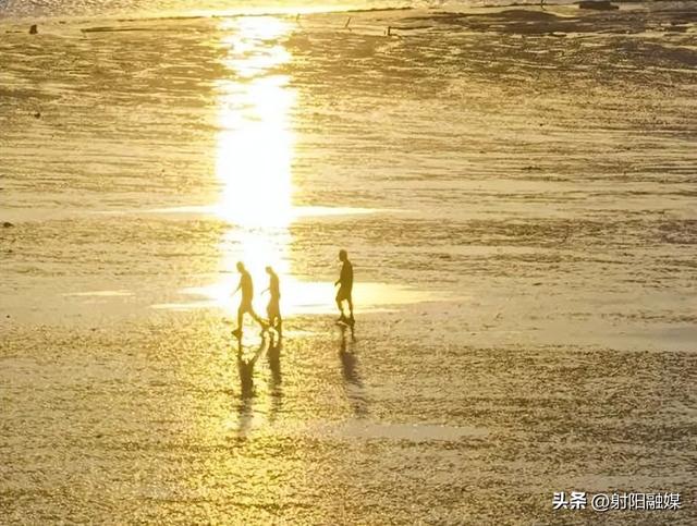 这个秋天，总要来一趟射阳吧