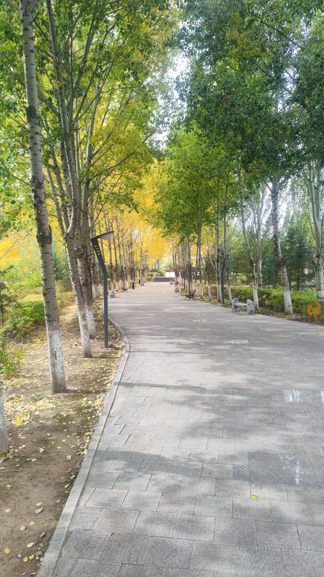 来乌兰察布的第二天 ，去了博物馆，植物园，白泉山公园，古城没去