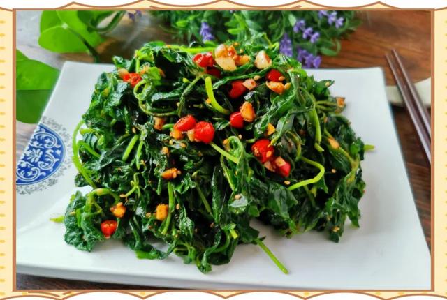 宕昌：深藏陇南的山水秘境，一次解锁“小九寨”的惊艳与人间烟火