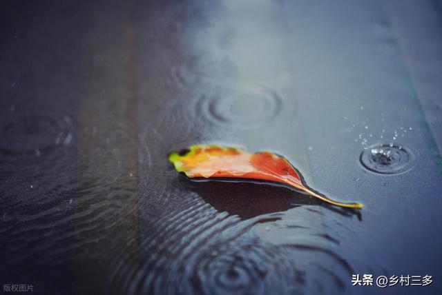 今日中秋节，老人说最怕“中秋节一日雨”，中秋节下雨有啥预兆？
