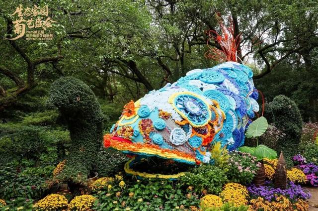 不愧是顶流！一大早就红了，人挤人持续好多天！萧山人家门口也有······