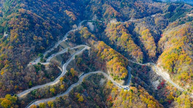 山道弯弯秋色浓