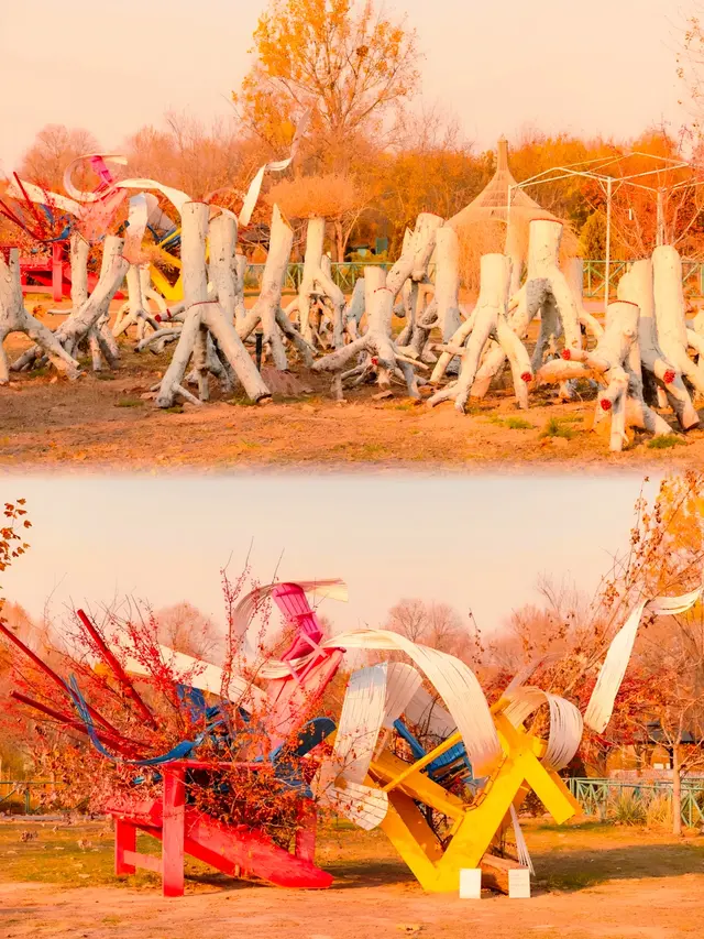 奇观！桃花逆寒盛开！北京的秋冬有多“热闹”——