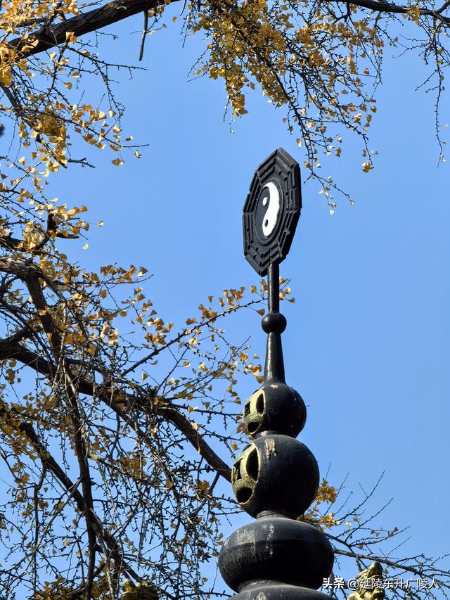 常州城东横山桥白龙观 冬日菊花节 采菊东篱下，悠然见横山