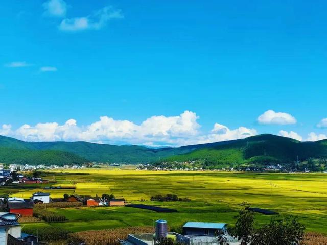 如果你秋天来丽江，我会带你去…