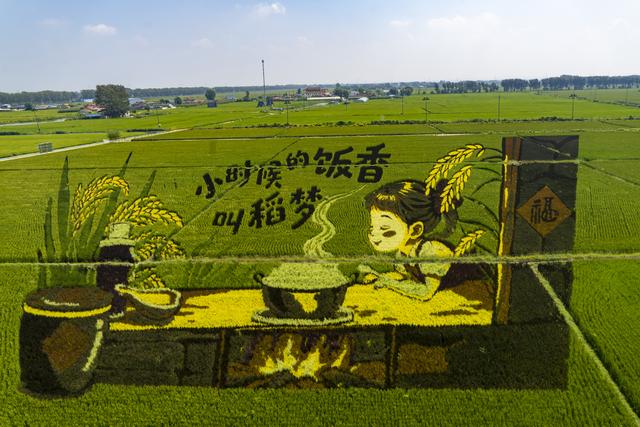 辽宁沈阳：一组美丽壮观的稻田画栩栩如生