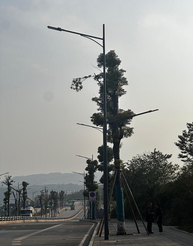 重庆九龙坡西彭抬头见蓝天，白云悠悠诉温柔，城市烦躁瞬间消散